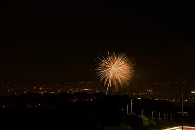DSC_9905 (Large).JPG